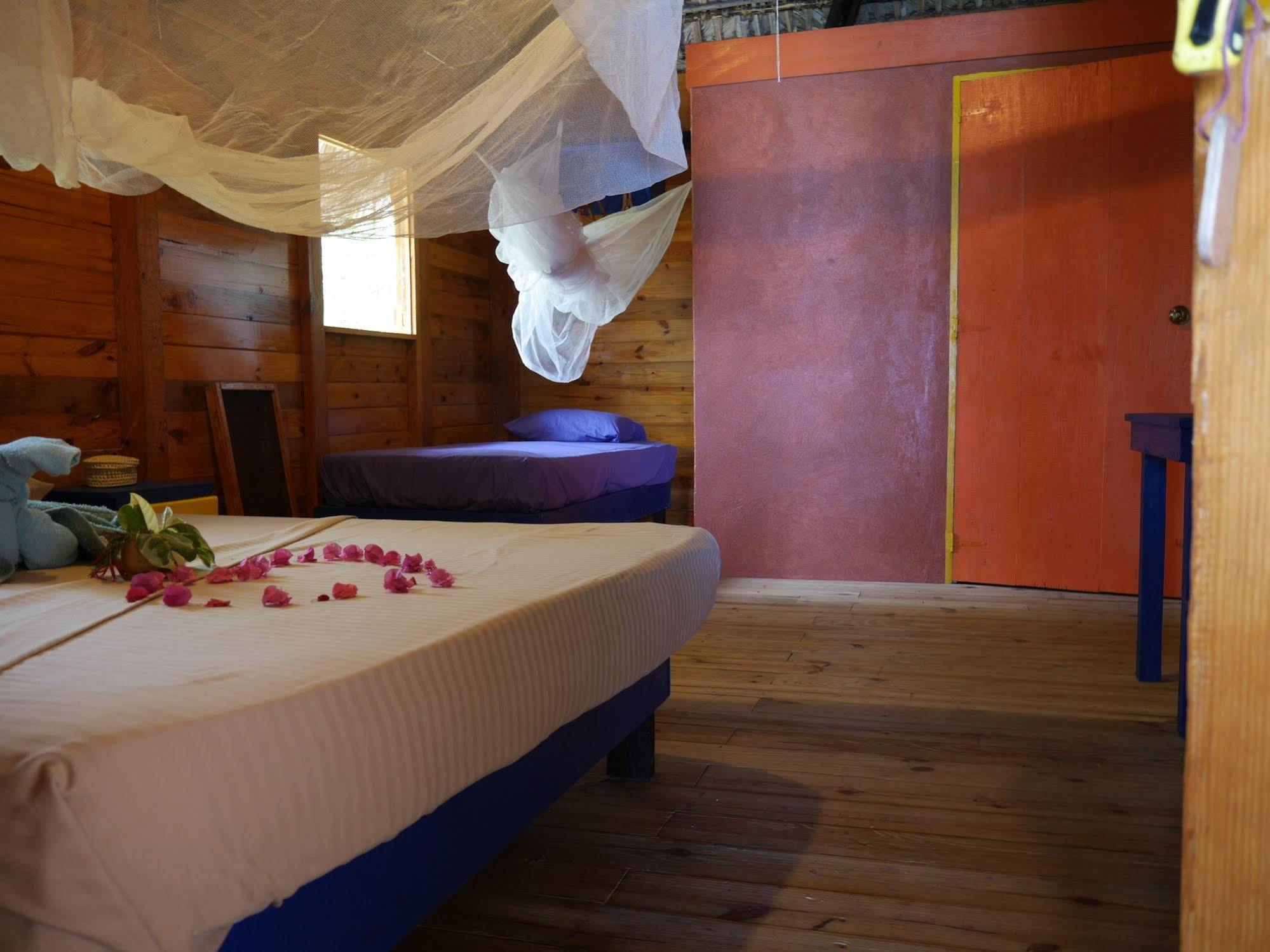 Boukan Guinguette Hotel Mole-Saint-Nicolas Kültér fotó